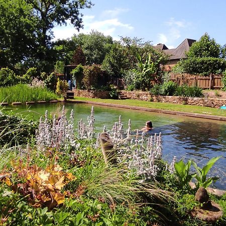 Maison De Charme, Piscine Naturelle Dordogne Perigord Prats-du-Perigord Экстерьер фото
